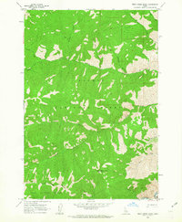 Bear Creek Point 1962 topographic map thumbnail