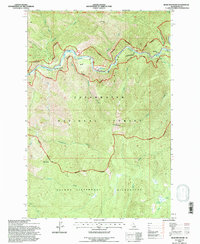 Bear Mountain 1994 topographic map thumbnail