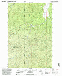 Bechtel Butte 1994 topographic map thumbnail