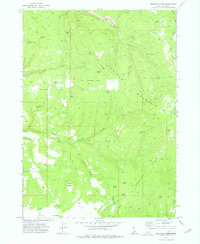 Bedstead Ridge 1973 topographic map thumbnail
