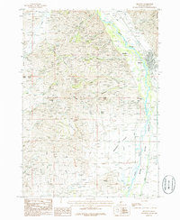 Bellevue 1986 topographic map thumbnail