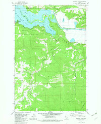 Benewah Lake 1981 topographic map preview