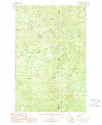 Benning Mountain 1989 topographic map thumbnail