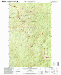 Benning Mountain 1996 topographic map thumbnail