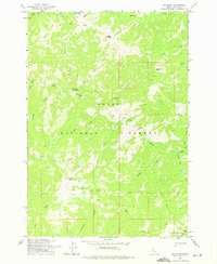 Big Baldy 1973 topographic map thumbnail