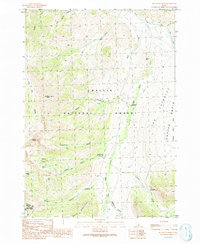 Big Black Dome 1991 topographic map thumbnail