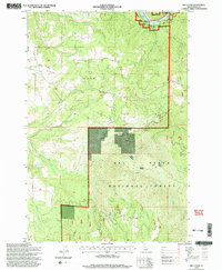Big Cedar 1995 topographic map thumbnail
