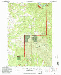 Big Cedar 1995 topographic map thumbnail