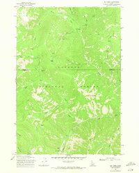Big Creek 1969 topographic map thumbnail