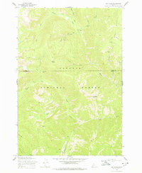 Big Creek 1969 topographic map thumbnail