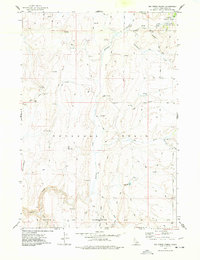 Big Creek Ranch 1977 topographic map thumbnail
