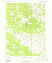 Big Elk Mtn 1966 topographic map thumbnail