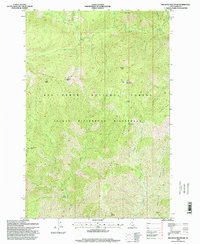 Big Rock Mountain 1995 topographic map thumbnail