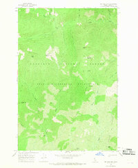 Big Rock Mtn 1966 topographic map thumbnail