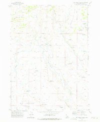 Big Springs Ranch 1972 topographic map preview