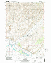 Birding Island 1998 topographic map thumbnail