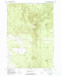 Bishop Mountain 1965 topographic map thumbnail