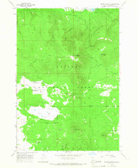 Bishop Mountain 1965 topographic map thumbnail
