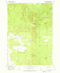 Bishop Mountain 1965 topographic map thumbnail