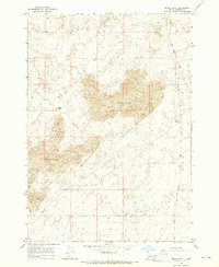 Black Knoll 1965 topographic map thumbnail