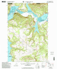 Black Lake 1996 topographic map thumbnail