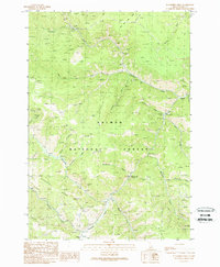 Blackbird Creek 1989 topographic map thumbnail