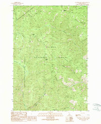 Blackbird Mountain 1989 topographic map thumbnail
