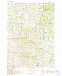 Blizzard Mountain North 1991 topographic map thumbnail