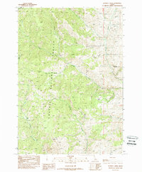 Blowfly Creek 1989 topographic map thumbnail