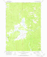 Blue Bunch Mtn topographic map thumbnail