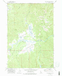 Blue Bunch Mtn 1972 topographic map thumbnail
