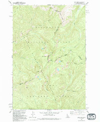 Blue Joint 1991 topographic map thumbnail