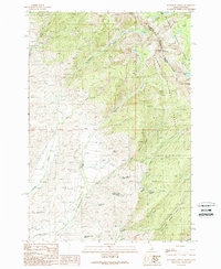 Bohannon Spring 1989 topographic map thumbnail