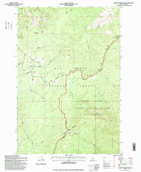 Boston Mountain 1995 topographic map thumbnail
