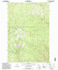 Boundary Peak 1994 topographic map thumbnail