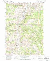 Bowery Creek 1963 topographic map thumbnail