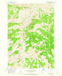 Bowery Creek 1963 topographic map thumbnail
