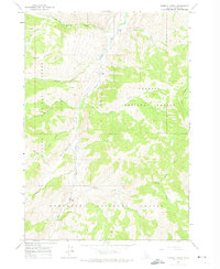 Bowery Creek 1963 topographic map thumbnail
