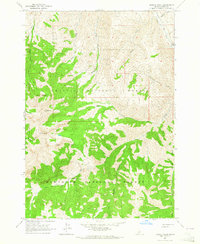 Bowery Peak 1963 topographic map thumbnail