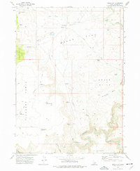 Brace Flat 1973 topographic map thumbnail