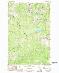 Bruin Hill 1985 topographic map thumbnail
