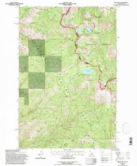 Bruin Hill 1994 topographic map thumbnail