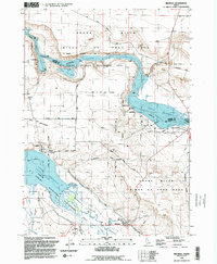 Bruneau 1992 topographic map thumbnail
