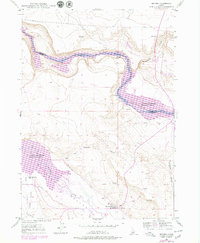 Bruneau 1947 topographic map thumbnail