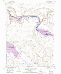 Bruneau 1947 topographic map thumbnail