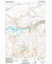 Bruneau Dunes 1992 topographic map thumbnail