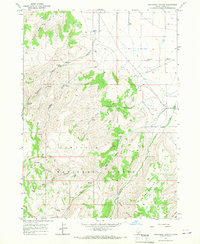 Buckhorn Canyon 1965 topographic map thumbnail