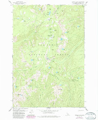 Buffalo Hump 1979 topographic map thumbnail