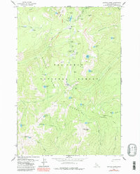 Buffalo Hump 1979 topographic map thumbnail