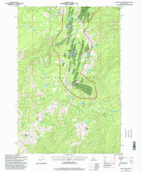 Buffalo Hump 1995 topographic map thumbnail